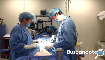 Bmedstar - Calle Doctor Horacio Díaz Correa 288 91910 Bmedstar - Calle Doctor Horacio Díaz Correa 288 91910