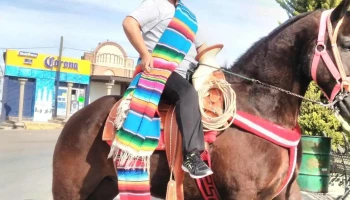 Centro De Salud Plateros - 99158 Fresnillo