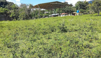 Centro salud de rancho viejo - Gro