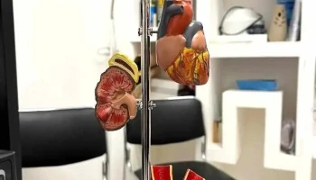 Clínica Cabrera Medical Care - Matías Romero Avendaño