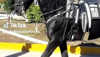 Clínica Emmanuel - Sector Popular