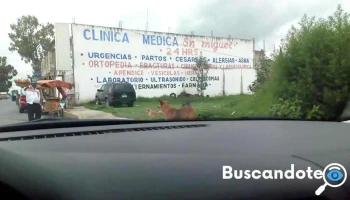 Clínica San Miguel - Av. Juárez 709