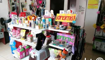 Clínica Veterinaria San Francisco de Asís - Urbana San Felipe