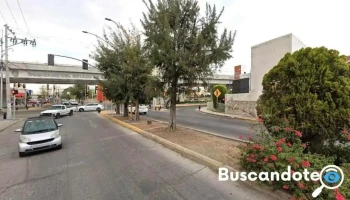 Consultorio medico Orientacion medica integral para el adulto mayor - Bosques Del Prado Sur