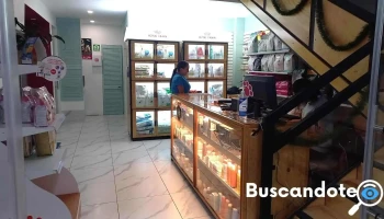 Dr. Pug Plaza Ixtapaluca - Ixtapaluca