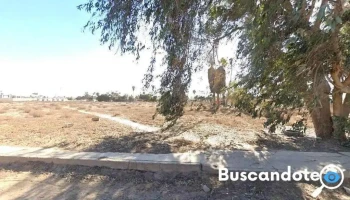 Dr. Salazar - San Quintín