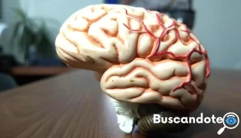 Neurólogo Dr. Francisco Mendoza Esquivel - Jardín