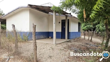Salud - 40936 Zacualpan
