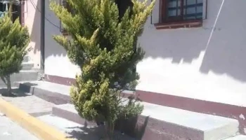... - Santo Tomás Mazaltepec