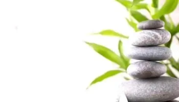 Servicio Medico La Familia Km 30 - 39920 Acapulco De Juárez