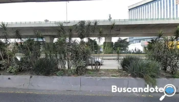 Seulap (Servicios Especializados en Urología y Laparoscopia) - San Francisco Cuautlalpan