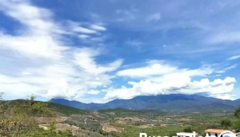 Soledad Salinas - San Carlos Yautepec