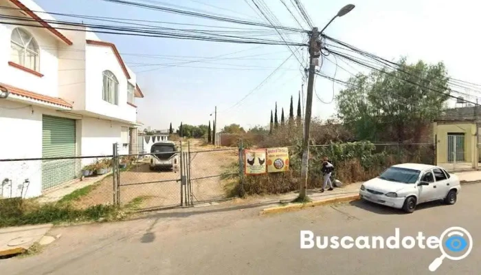 Ceaps Chiautla - Chiautla