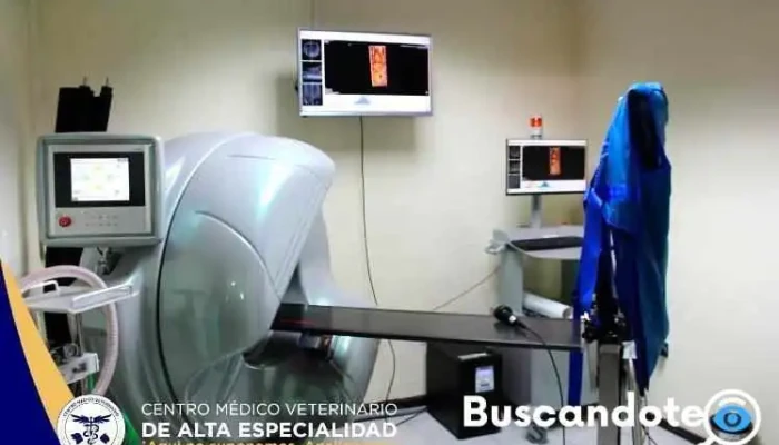 Centro Médico Veterinario de Alta Especialidad - Sector Centro