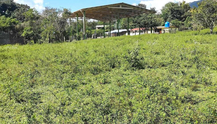 Centro salud de rancho viejo - Gro