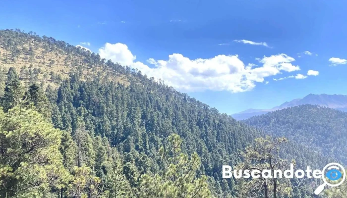 Cerro La Calera - Estado De México