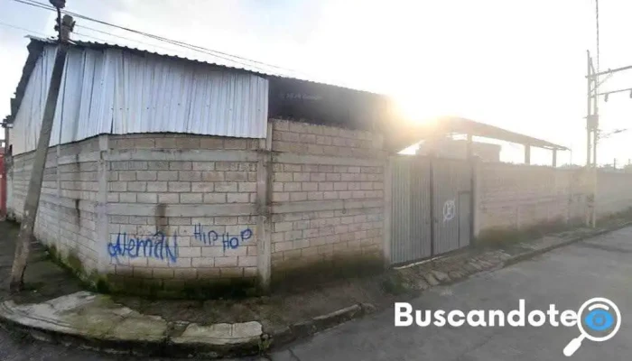 Clinica Omeopatica - Temoaya
