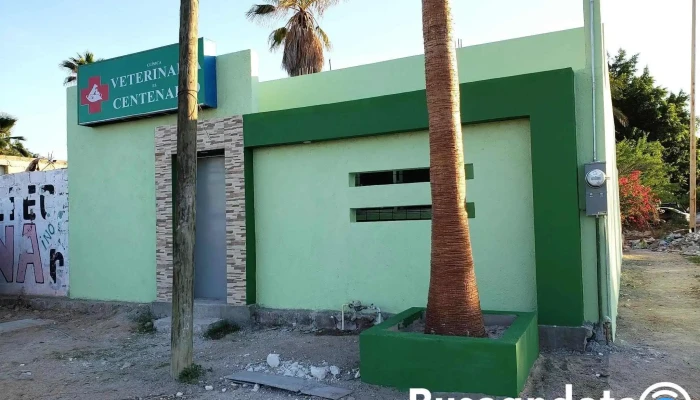 Clínica Veterinaria El Centenario - Leona Vicario Y