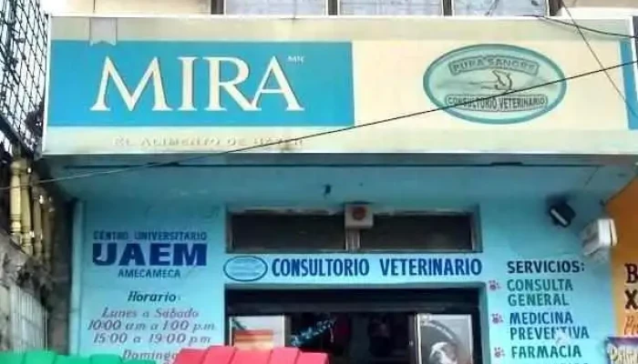 Clínica Veterinaria Pura Sangre - Ixtapaluca