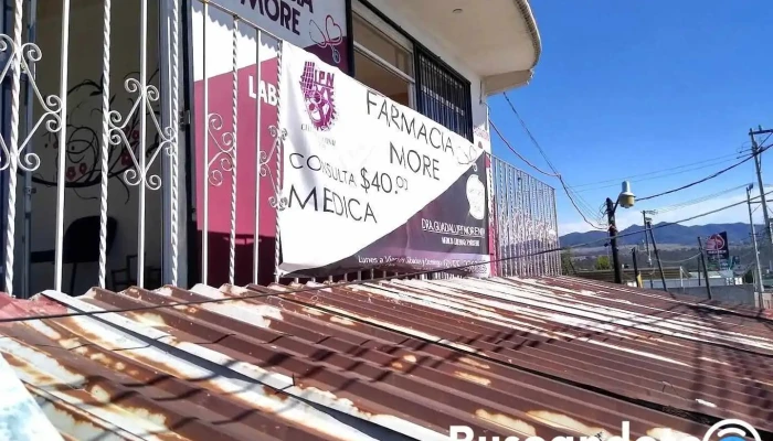 Consultorio More - Jorobas