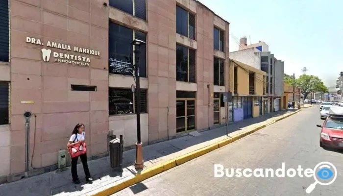 Dr. Manríquez D. Javier - Centro Historico