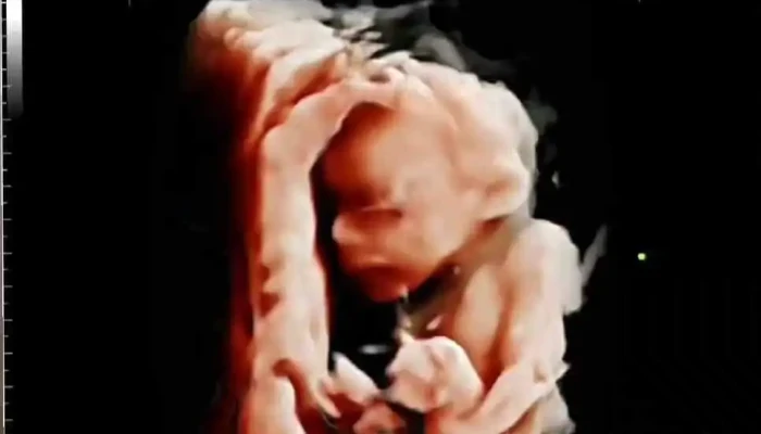 Dr Romeo Cid Contreras Ginecologia Y Obstetricia Del Propietario - Santa Lucía del Camino