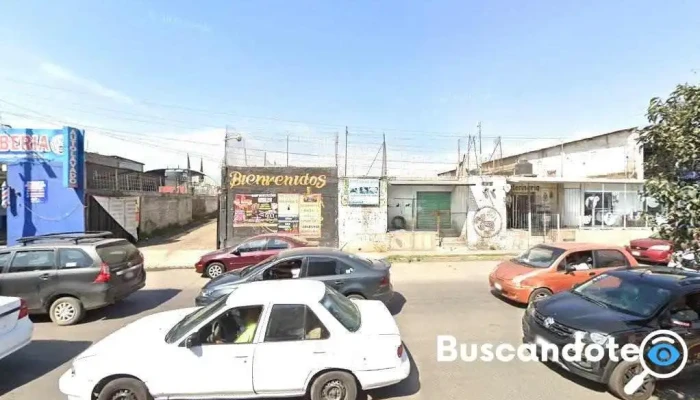Dra. Adriana Barreto Sosa, Alergólogo - Ixtapaluca
