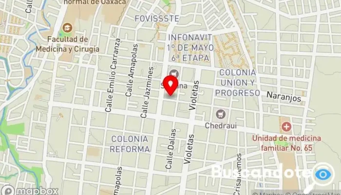 mapa de Dra Ana Cruz Pediatra Pediatra en Oaxaca de Juárez