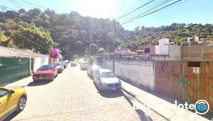 Dra. Nayeli Flores Flores - Centro