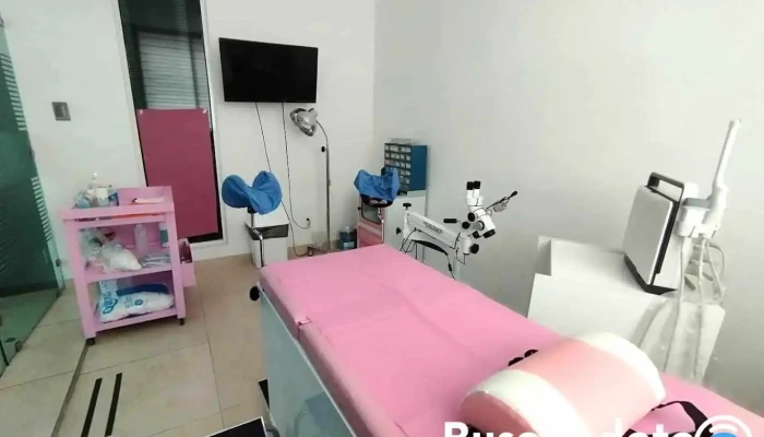 Gynefemme ixtapaluca - Mexico