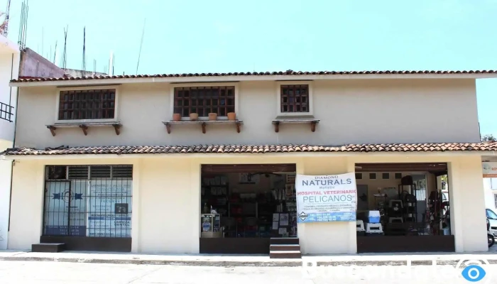 Hospital Veterinario Pelicanos - Pelicanos I