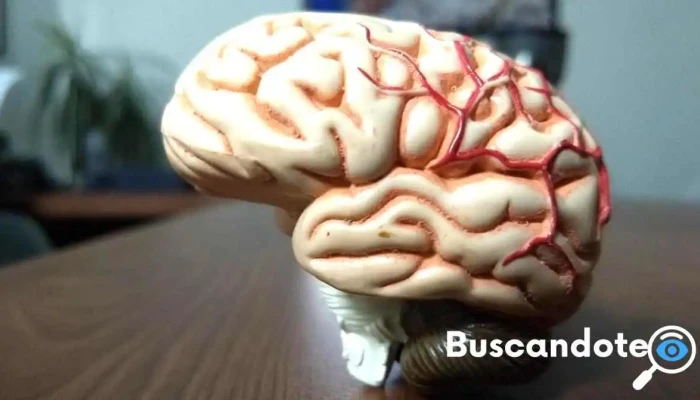 Neurólogo Dr. Francisco Mendoza Esquivel - Jardín