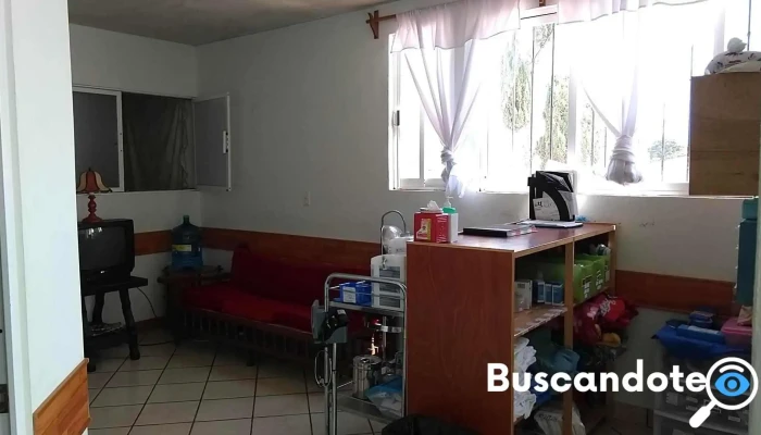 Servicios Medicos Hamadrya Februa - San Sebastián