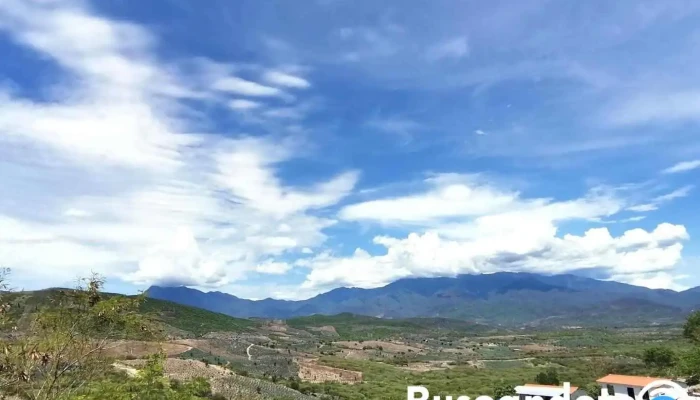 Soledad Salinas - San Carlos Yautepec