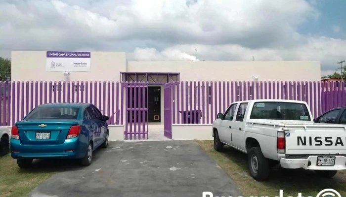 Uneme Cecosama Salinas Victoria - León A. Flores