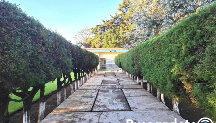 Unidad De Medicina Familiar N.43 Altotonga Veracruz. - 93700 Altotonga