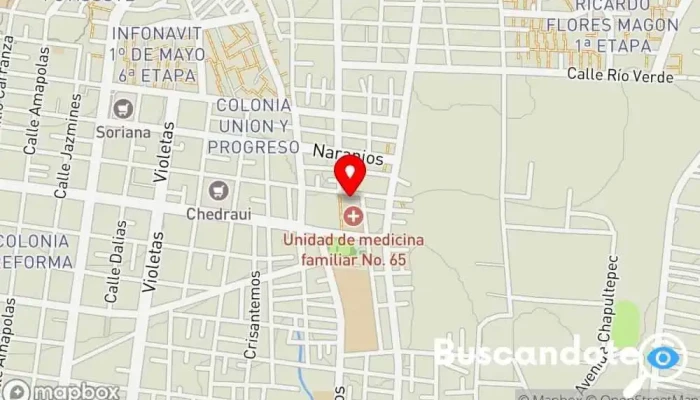 mapa de Unidad Medica Familiar Nº 65 (IMSS) Centro de salud en Santa Lucía del Camino