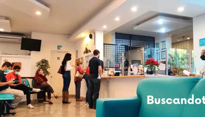 Vida Care Diagnóstico - Del Mesón 100