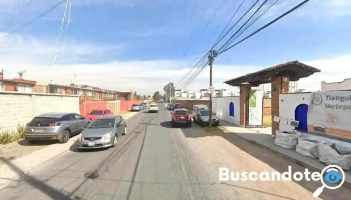 Vive Familiar - Llano Grande